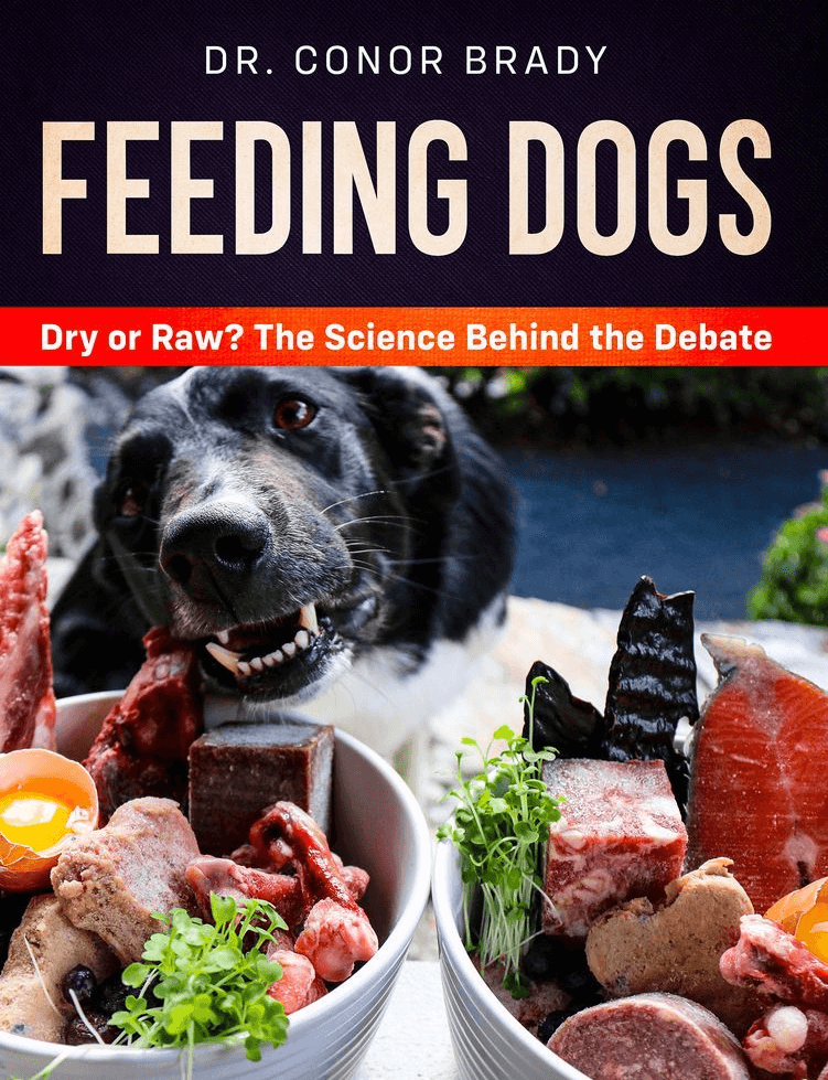 FEEDING DOGS - DRY OR RAW?